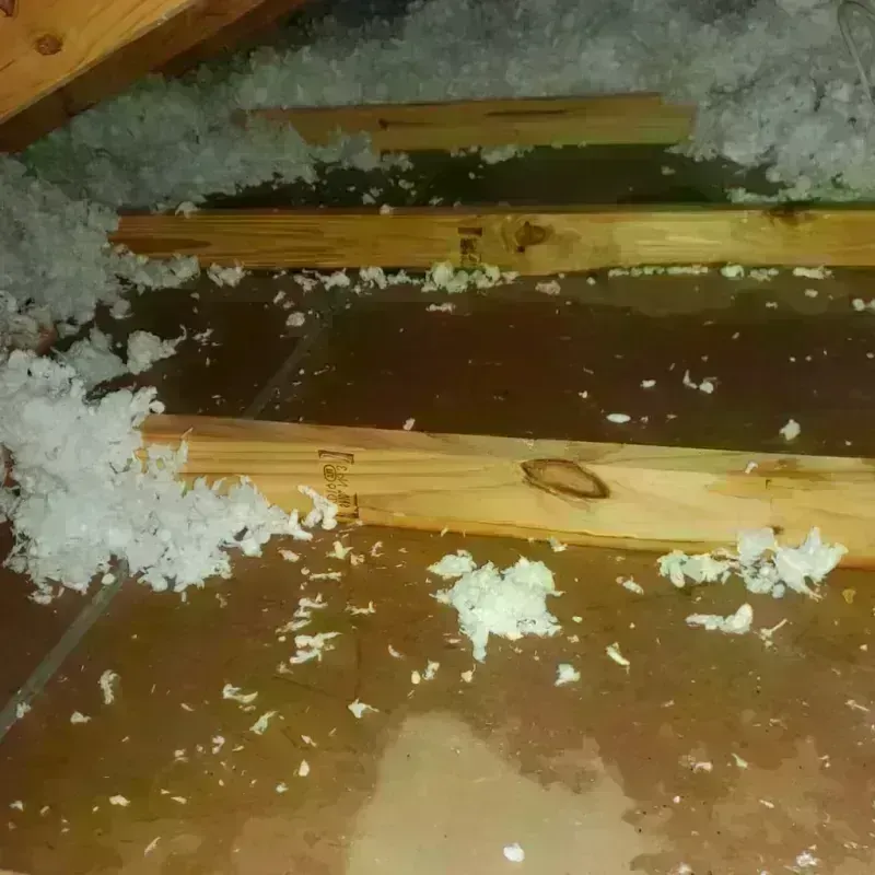 Attic Water Damage in Fox River Grove, IL