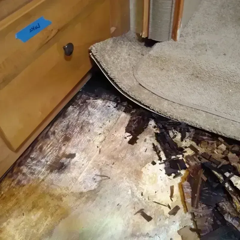 Wood Floor Water Damage in Fox River Grove, IL